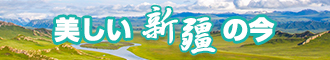 www.女干.com新疆banner-w330n60.jpg